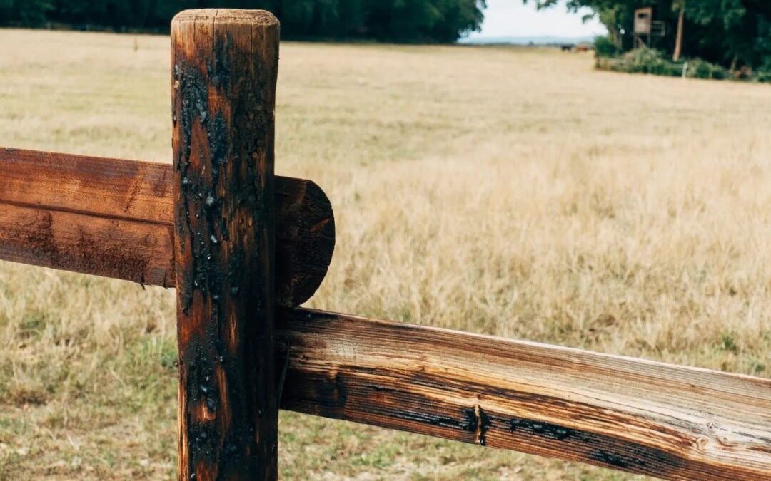 Qué hacer con postes de madera y cómo elegirlos por su clase, durabilidad y precio