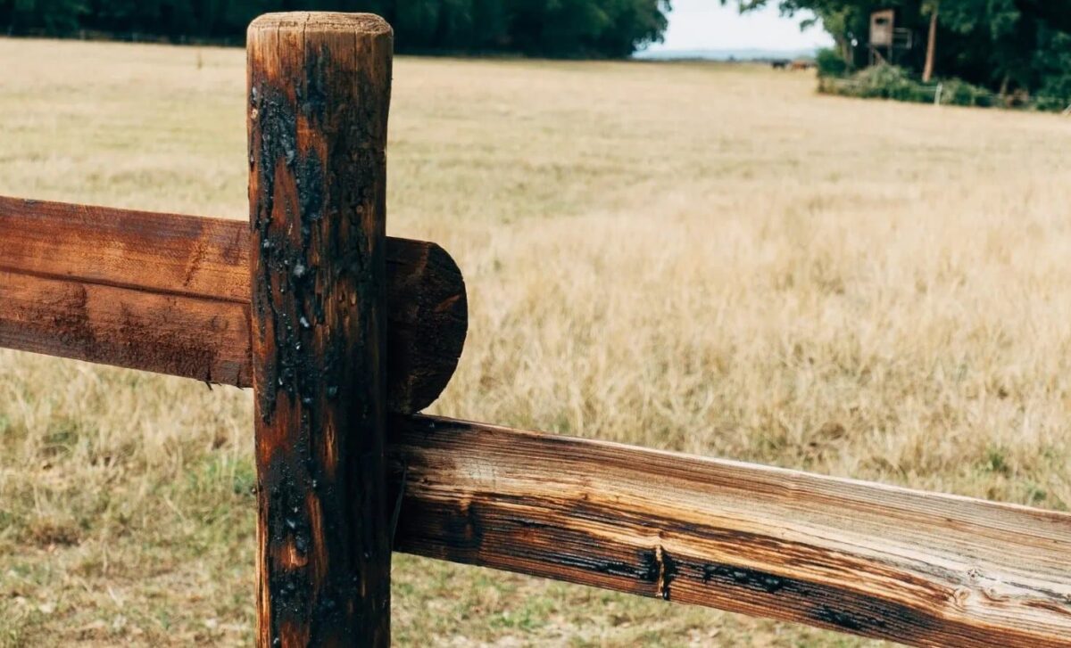 Postes de madera tratada para vallas y pérgolas